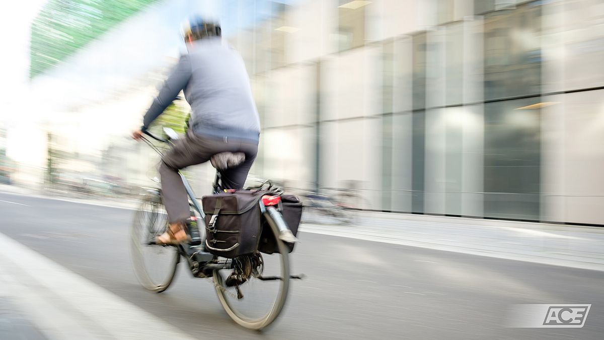 EBikeKauf So fällt die Wahl auf das richtige PedelecModell Presse Ace